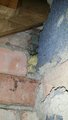 thumbnails/159-understair-airgaps.jpeg.small.jpeg