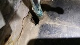 thumbnails/164-water-pipe-gap.jpeg.small.jpeg