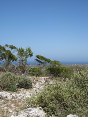 259-IMG_1746.JPG.medium.jpeg