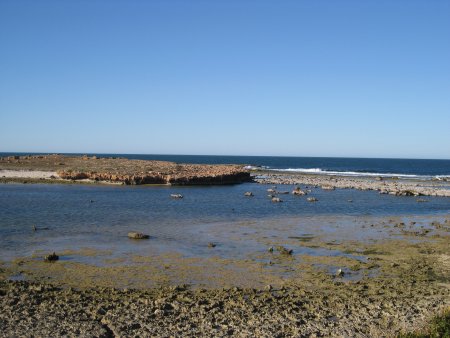 298-IMG_1845.JPG.medium.jpeg