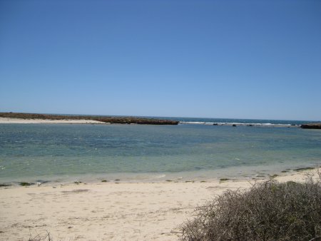 299-IMG_1847.JPG.medium.jpeg