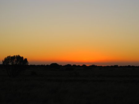 302-IMG_1852.JPG.medium.jpeg