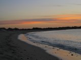 321-IMG_1889.JPG.small.jpeg