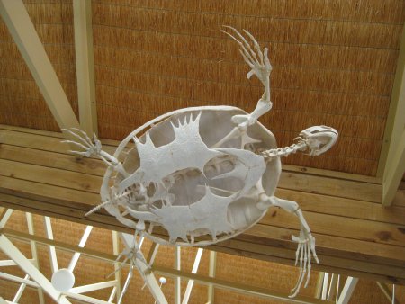 328-IMG_1914.JPG.medium.jpeg