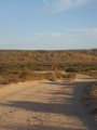 332-IMG_1935.JPG.small.jpeg