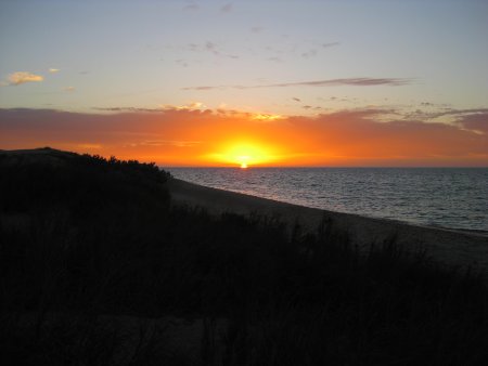 336-IMG_1943.JPG.medium.jpeg
