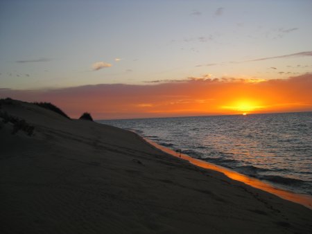 337-IMG_1945.JPG.medium.jpeg