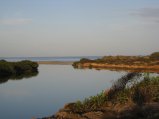 341-IMG_1956.JPG.small.jpeg