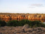 343-IMG_1958.JPG.small.jpeg