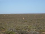 355-IMG_1975.JPG.small.jpeg