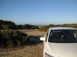 356-IMG_1980.JPG.small.jpeg
