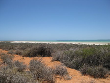 360-IMG_1990.JPG.medium.jpeg