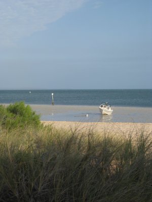365-IMG_2003.JPG.medium.jpeg