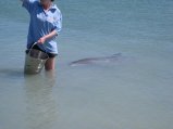 367-IMG_2069.JPG.small.jpeg