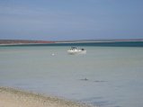 369-IMG_2072.JPG.small.jpeg