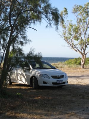 380-IMG_2201.JPG.medium.jpeg