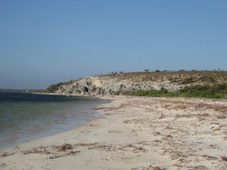 383-IMG_2209.JPG.medium.jpeg