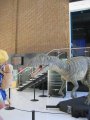 395-IMG_2305.JPG.small.jpeg