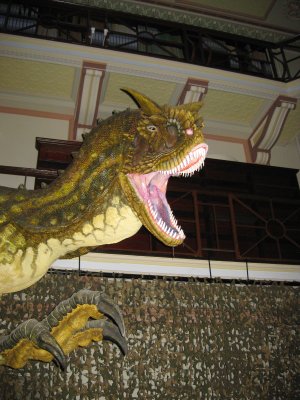397-IMG_2316.JPG.medium.jpeg