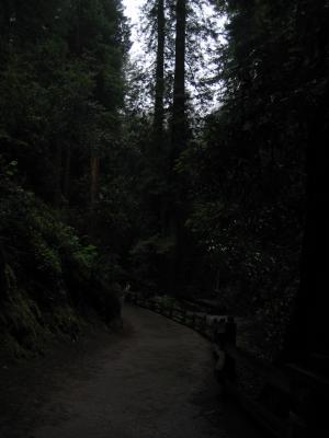 img352.jpeg.medium.jpeg